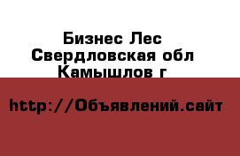 Бизнес Лес. Свердловская обл.,Камышлов г.